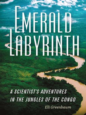 cover image of Emerald Labyrinth